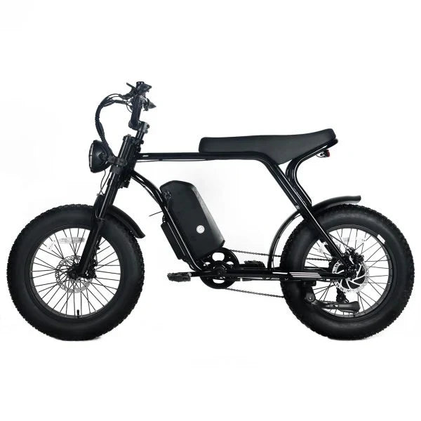 Electric Mountain Bike for Adults | 20 x 4.0 Fat Tires, 1000W Motor, 48V 20Ah Removable Battery, Max Speed 45MPH, Shi Mano 7-Speed for Off-Road...