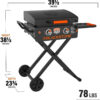Blackstone 22" Omnivore Griddle RV Kit, Propane Connect & Tools