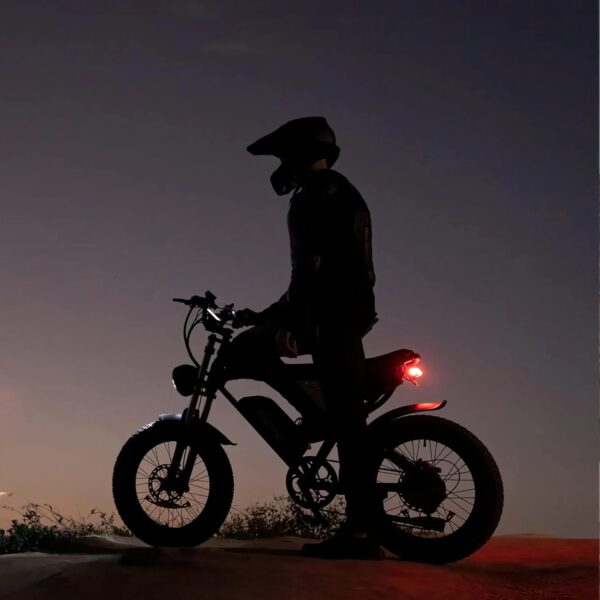 Electric Bike for Adults, 1000/2000W, 25-37Mph