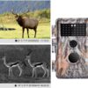 5-Pack Game & Deer Trail Cameras 16MP 1920x1080P Video Hunting Wildlife Cams Time Lapse with Night Vision