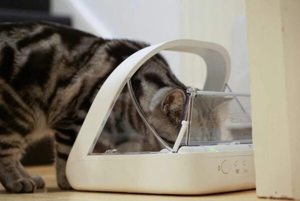 Pet Feeder Connection System - Selective Pet Feeder - Suitable for pets on prescription diets or weight management diets - Integrated Scale - Data...