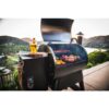 Pro Series 22 Pellet Grill in Bronze