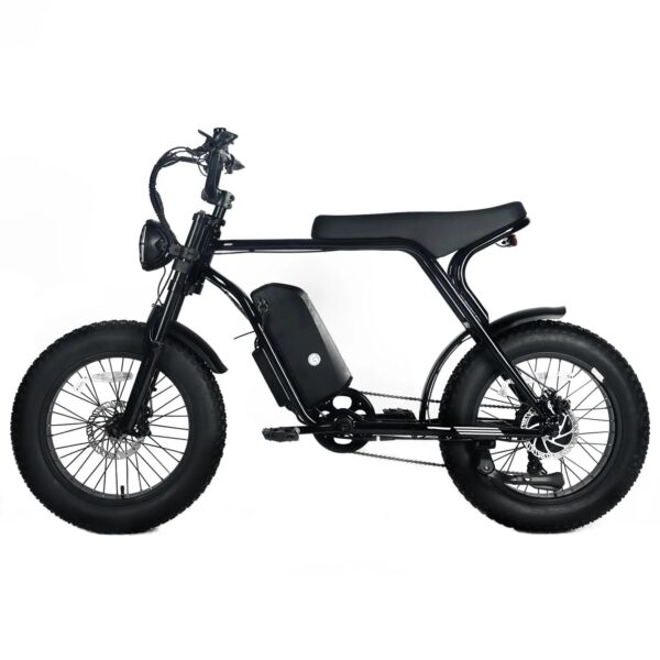 Electric Mountain Bike for Adults | 20 x 4.0 Fat Tires, 1000W Motor, 48V 20Ah Removable Battery, Max Speed 45MPH, Shi Mano 7-Speed for Off-Road...
