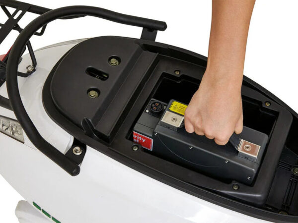GreenStreet GreenStreet Elektro-Roller SEED , mit Lithium-Ionen-Akku, Eco-Modus, 50 km Reichweite