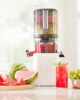 Nama J2 Cold Press Juicer Self Feeding for Hands Free Operation with Wide Mouth Hopper for Whole Recipe Loading, Zero Waste Masticating Juicer For...