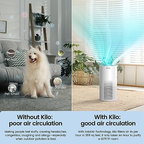 Afloia Air Purifiers for Home Large Room Up to 1076 Ft , H13 True HEPA Air Purifiers for Bedroom