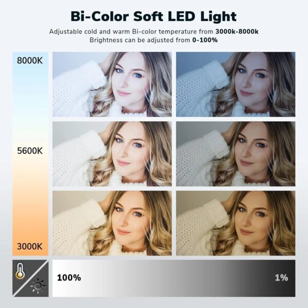D50 LED Video Light Panel Lights 15.4", 2 Packs 45W 3000K-8000K Bi-Color Dimmable Photography Lighting, CRI 96+ Videography Lighting for Video...