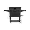Clearance Sale Blackstone 2-Burner 28" Griddle with Electric Air Fryer and Hood