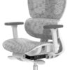 Ergo3D Ergonomic Office Chair High Back Mesh Desk Chair with 3D Adjustable Armrests, Wheels, for Home and Office (Black)