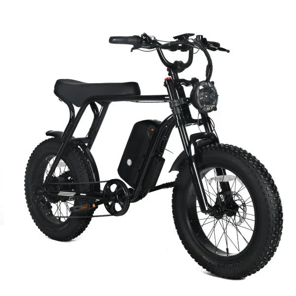 Electric Mountain Bike for Adults | 20 x 4.0 Fat Tires, 1000W Motor, 48V 20Ah Removable Battery, Max Speed 45MPH, Shi Mano 7-Speed for Off-Road...