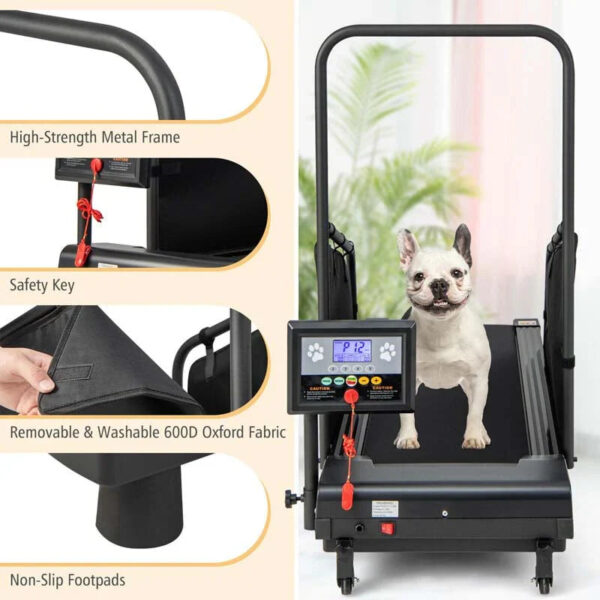 200 Lbs Dog Treadmill Pet Running Machine Indoor Pet Exercise Equipment With Remote Amp 14039039 Lcd Screen