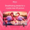 VIZIO 50 4K Resolution HDR Smart TV, Dolby Vision HDR/HDR10+, WiFi 6 (Renewed)