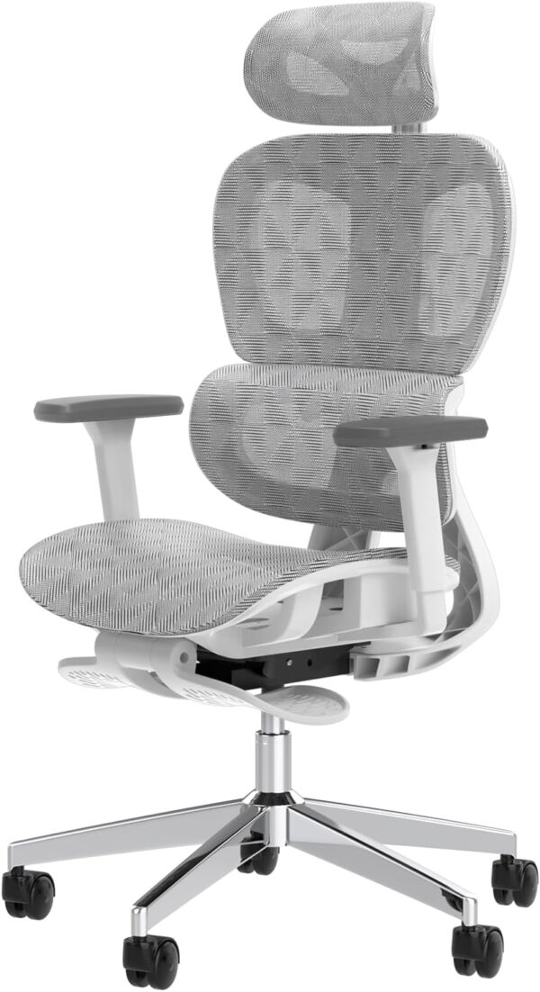 Ergo3D Ergonomic Office Chair High Back Mesh Desk Chair with 3D Adjustable Armrests, Wheels, for Home and Office (Black)