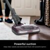 Shark Rocket Deluxe Pro Corded Stick Vacuum, Lightweight, XL Dust Cup, LED Headlights, Pet Hair Tools, Bordeaux/Silver
